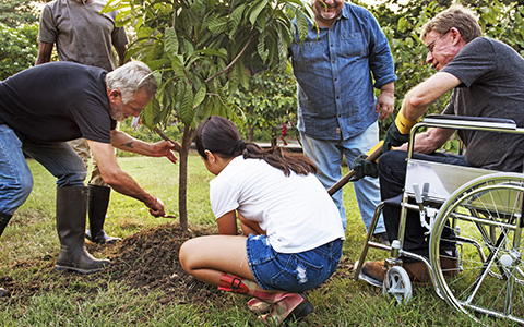group of people planting a tree