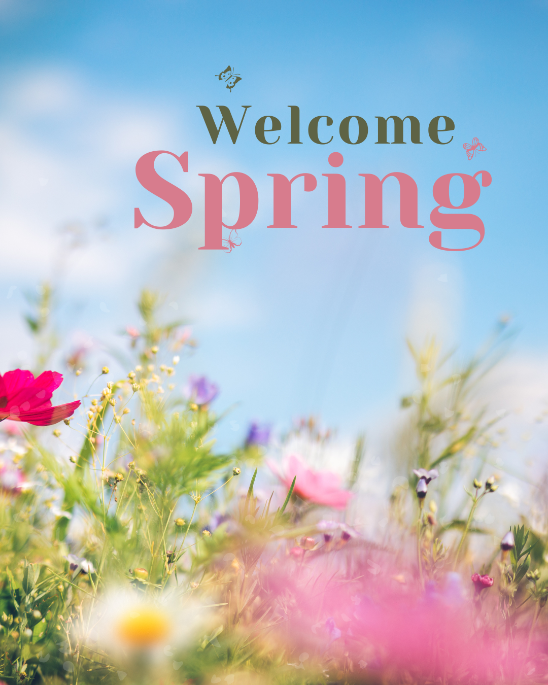 Welcome Spring 